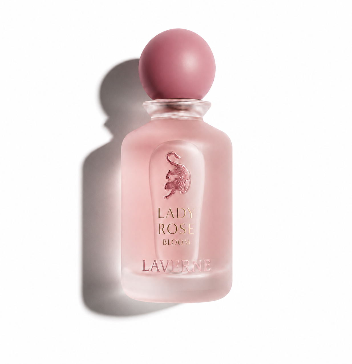 lady rose bloom lady rose bloom